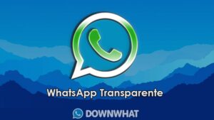 whatsapp transparente
